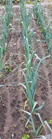 Winterprei sept 2015